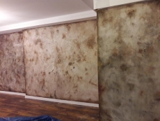 Elite �stinto Venedik S�va Adana Province